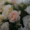 Свв. апп. Петра и Павла. Всенощное бдение